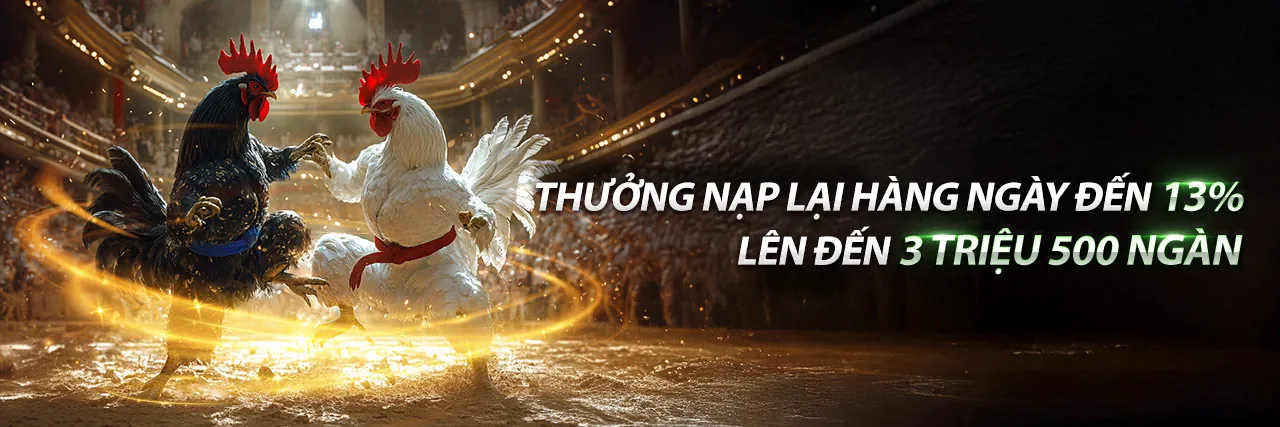 Đá Gà Trực Tuyến G666WIN Nhà Cái