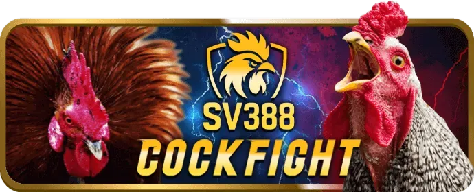 Khuyến mãi slot g666win nhà cái